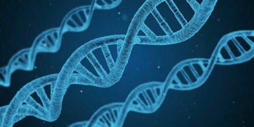 DNA Forschung Gene